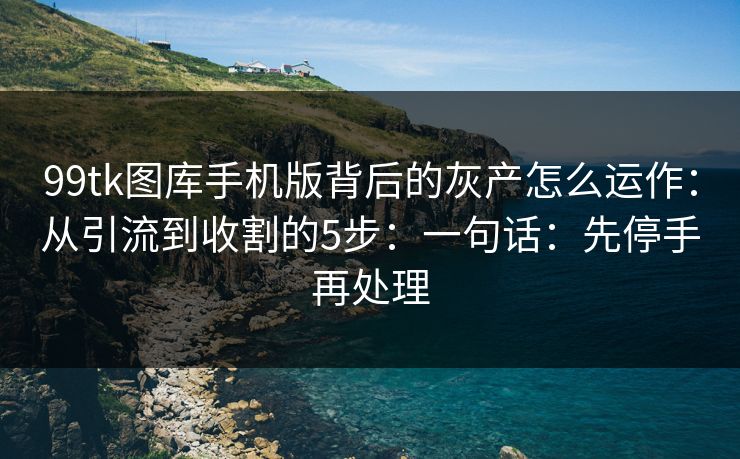 99tk图库手机版背后的灰产怎么运作：从引流到收割的5步：一句话：先停手再处理