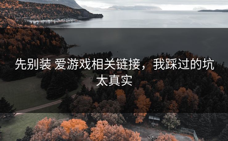 先别装 爱游戏相关链接，我踩过的坑太真实